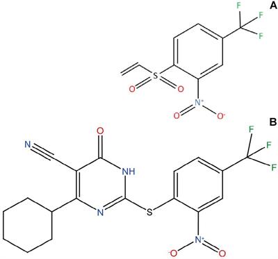 Inhibition of α-Synuclein Aggregation and Mature Fibril Disassembling With a Minimalistic Compound, ZPDm